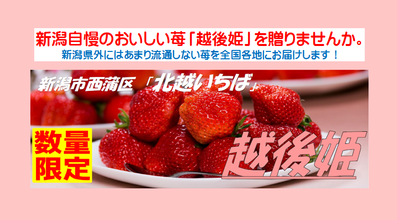 新潟自慢のいちご「越後姫」を贈りませんか